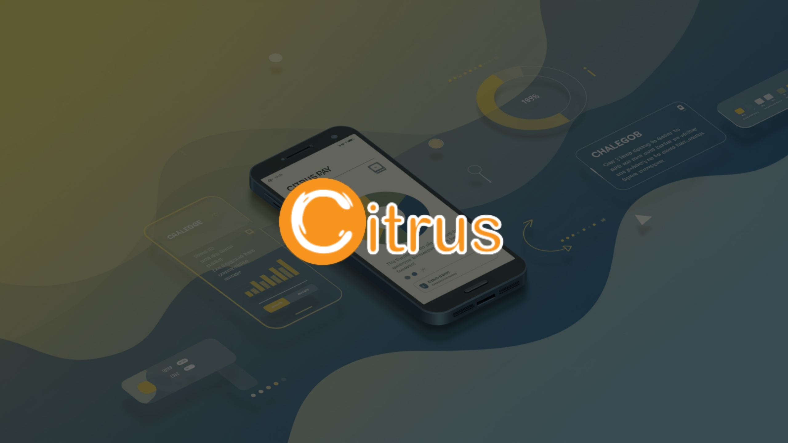 <span>Citrus Pay,</span> a journey from an idea to acquisition