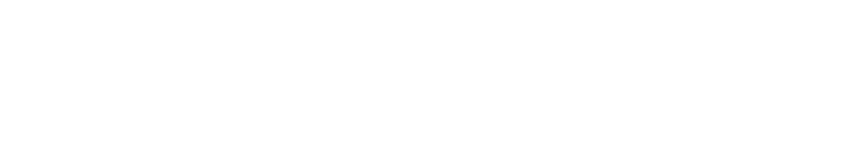 Why We Will Almost Certainly Never Have AGI